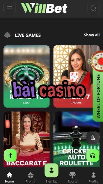Bài Casino - Top Vietnamese Casino Games-www.bdqngd.com